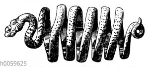 Fingerring in Gestalt einer Schlange