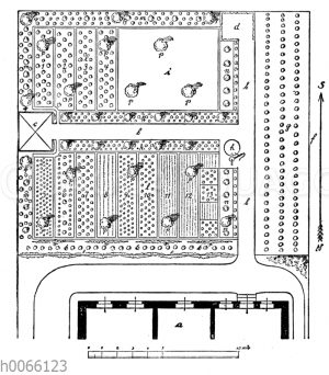 Plan zu einem Hausgarten