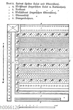 Plan zu einem Schrebergarten