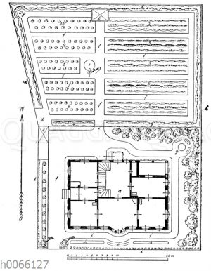 Plan zum Hausgarten eines Obstliebhabers