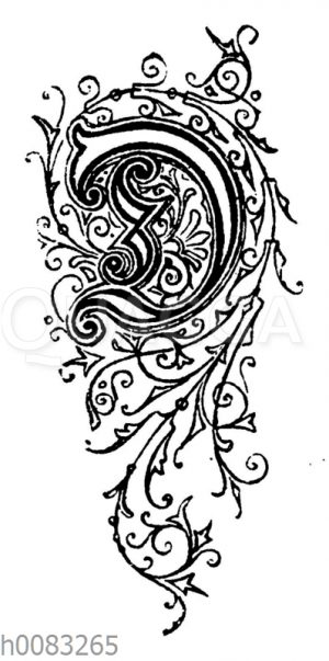 Buchstabe D