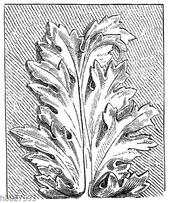 Akanthusblatt aus der römischen Kaiserzeit