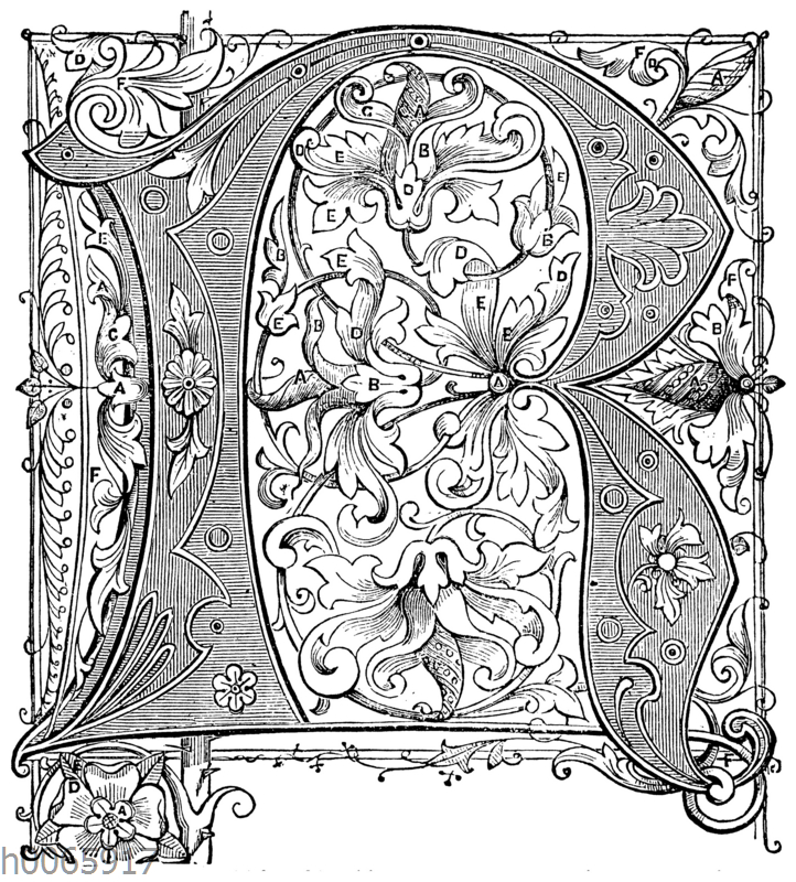 Buchstabe R Bildkategorie Quagga Illustrations Bilddatenbank