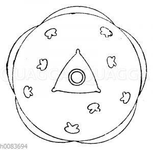 Buchweizen, Blütendiagramm [Digital]