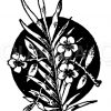 Vignette: Palmzweig und Blumen