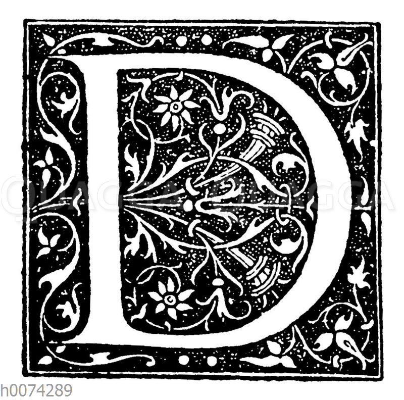 Buchstabe D