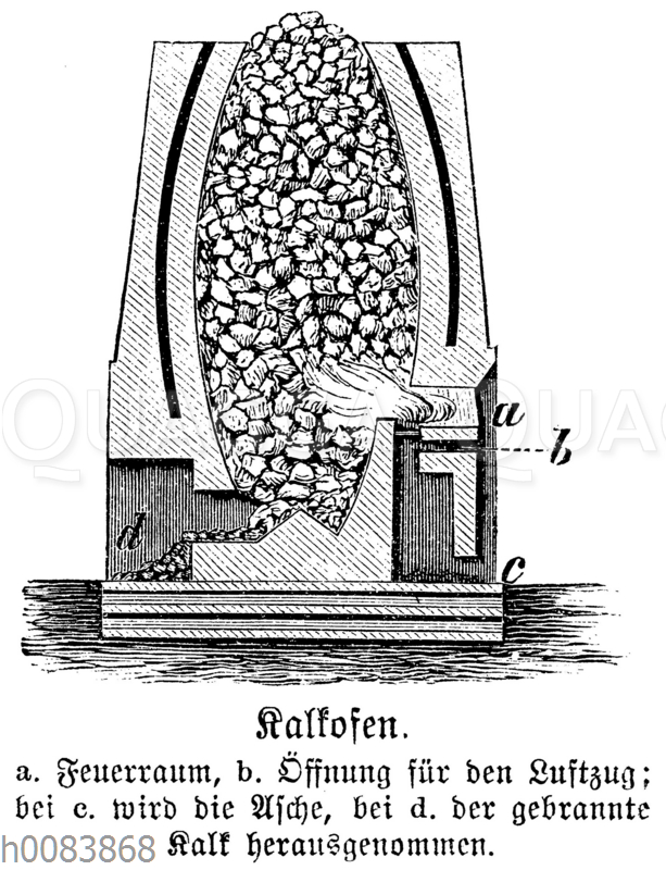 Kalkofen - Quagga Illustrations