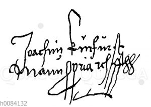 Kurfürst Joachim II.