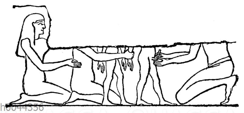 Beschneidung der Ägypter. Nach Ebers.
