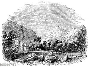 Wadi Feiran