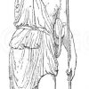 Matteische Amazone