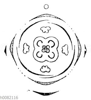 Stechpalme: Blütendiagramm