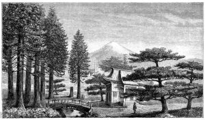 Japanische Landschaft mit Vulkan und Baumtypen