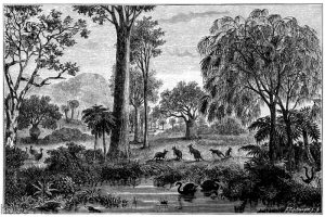 Australische Landschaft mit Tieren und wichtigeren Bäumen