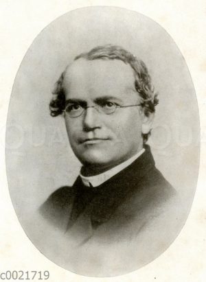 Gregor Mendel, 20. Juli 2022 - 200. Geburtstag