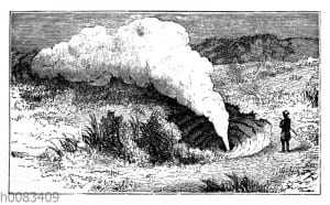 Dampfquelle Karapiti auf Neuseeland