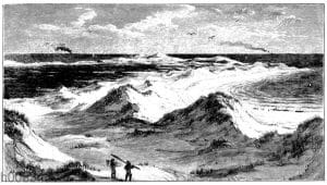 Dünen bei Binz auf Rügen