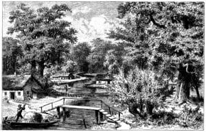 Landschaftsbild aus dem Spreewald