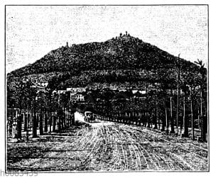 Die Landeskrone bei Görlitz