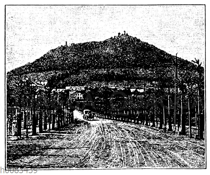 Die Landeskrone bei Görlitz Quagga Illustrations