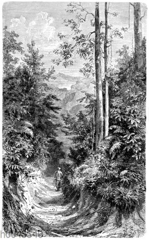 Hohlweg auf Pinang mit der Küste von Malakka im Hintergrund