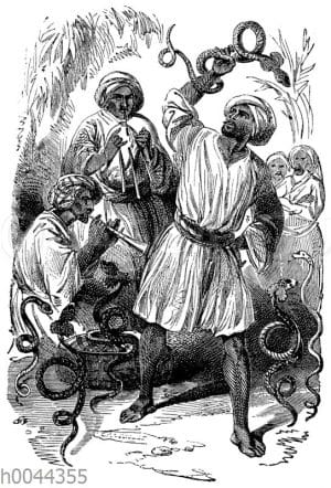 Indische Schlangenbeschwörer