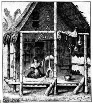 Indianerliütte in Columbia