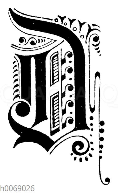 Buchstabe D Quagga Illustrations