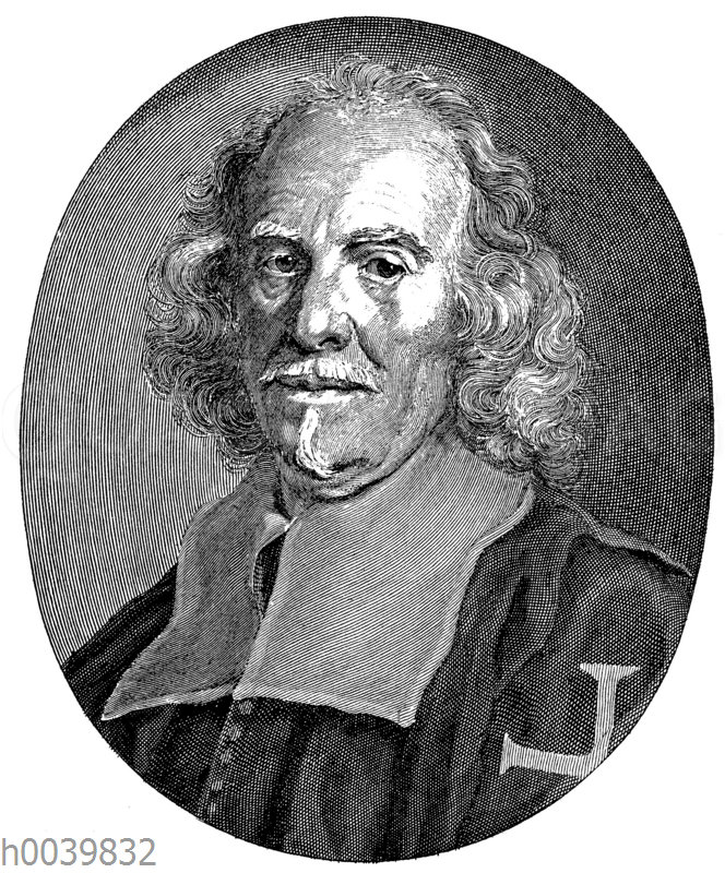 lorenzo-bernini-quagga-illustrations