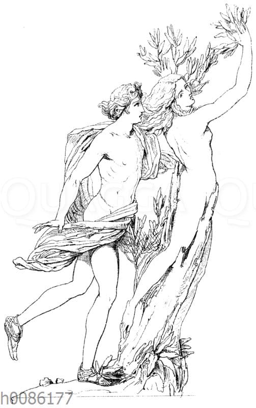 Apollo und Daphne (Bernini)