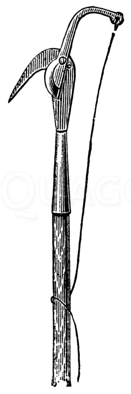 Raupenschere