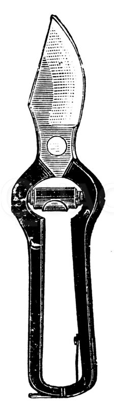 Baumschere mit Pufferfedern