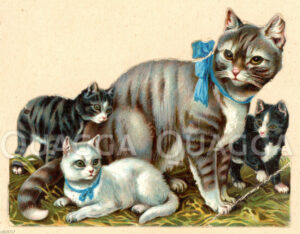 Glanzbild: Katzenmutter mit drei Jungen